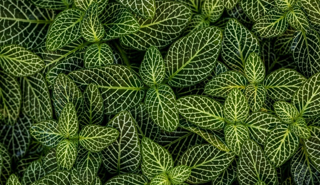 لورم ایپسوم متن ساختگی با تولید سادگی